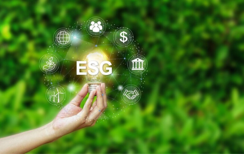 Environmental, Social, and Governance (ESG ) Reporting Challenges in the Automotive Industry